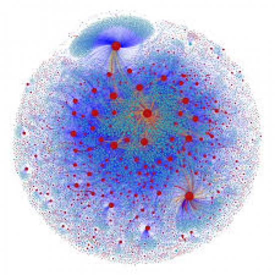 A network visualization