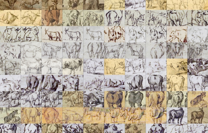 Various cow drawings from the Brueghel corpus