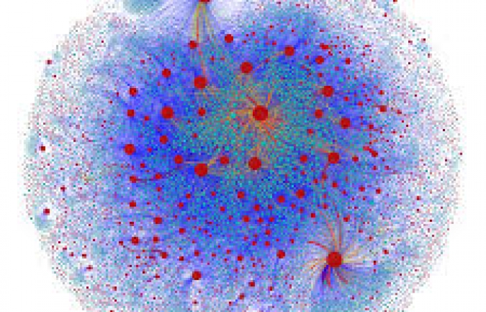 A network visualization